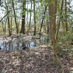 Photo of SOLD!!  26 Acres of Farm and Timber Land For Sale in Pitt County NC!