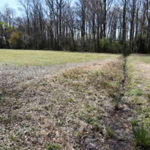 Photo of SOLD!!  26 Acres of Farm and Timber Land For Sale in Pitt County NC!