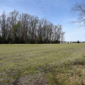 Photo of SOLD!!  26 Acres of Farm and Timber Land For Sale in Pitt County NC!