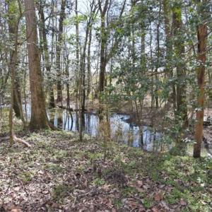 Photo of SOLD!!  26 Acres of Farm and Timber Land For Sale in Pitt County NC!