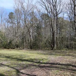 Photo of SOLD!!  26 Acres of Farm and Timber Land For Sale in Pitt County NC!