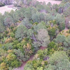Photo of SOLD!!  69 Acres of Land with Farm House and Great Views in Accomack County VA!