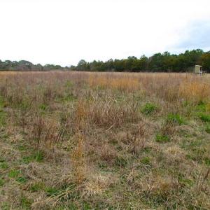 Photo of SOLD!!  69 Acres of Land with Farm House and Great Views in Accomack County VA!