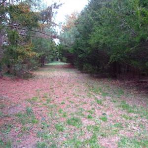 Photo of SOLD!!  69 Acres of Land with Farm House and Great Views in Accomack County VA!