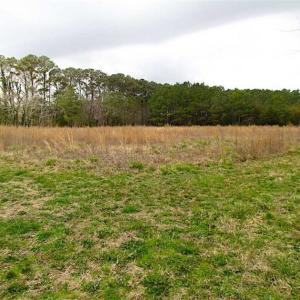Photo of SOLD!!  69 Acres of Land with Farm House and Great Views in Accomack County VA!