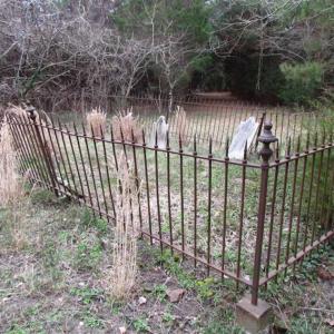 Photo of SOLD!!  69 Acres of Land with Farm House and Great Views in Accomack County VA!