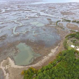 Photo of SOLD!!  69 Acres of Land with Farm House and Great Views in Accomack County VA!