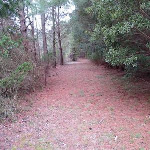 Photo of SOLD!!  69 Acres of Land with Farm House and Great Views in Accomack County VA!