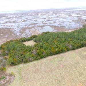 Photo of SOLD!!  69 Acres of Land with Farm House and Great Views in Accomack County VA!