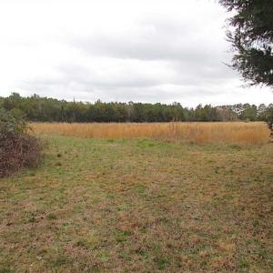 Photo of SOLD!!  69 Acres of Land with Farm House and Great Views in Accomack County VA!