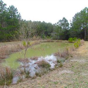 Photo of SOLD!!  69 Acres of Land with Farm House and Great Views in Accomack County VA!