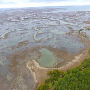 Photo of SOLD!!  69 Acres of Land with Farm House and Great Views in Accomack County VA!