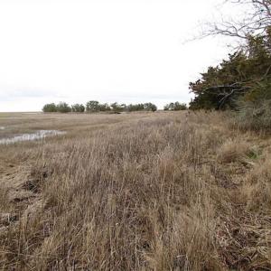 Photo of SOLD!!  69 Acres of Land with Farm House and Great Views in Accomack County VA!