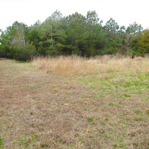 Photo of SOLD!!  69 Acres of Land with Farm House and Great Views in Accomack County VA!