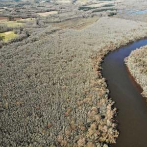 Photo of UNDER CONTRACT!!  660 Acres of Hunting and Timber Land For Sale in Pitt County NC!