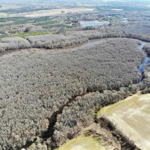 Photo of UNDER CONTRACT!!  660 Acres of Hunting and Timber Land For Sale in Pitt County NC!