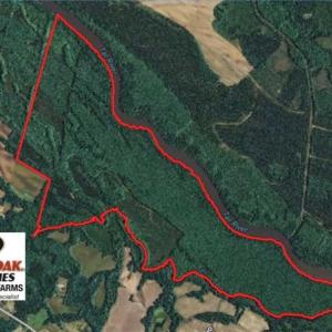 Photo of UNDER CONTRACT!!  660 Acres of Hunting and Timber Land For Sale in Pitt County NC!
