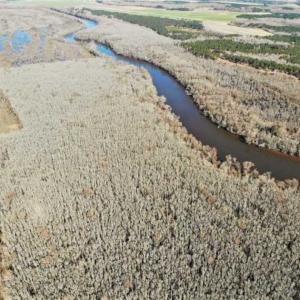 Photo of UNDER CONTRACT!!  660 Acres of Hunting and Timber Land For Sale in Pitt County NC!