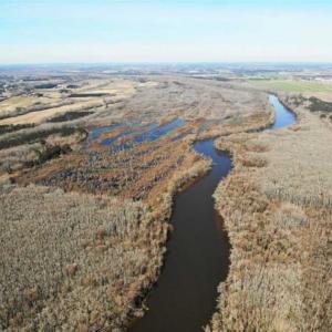 Photo of UNDER CONTRACT!!  660 Acres of Hunting and Timber Land For Sale in Pitt County NC!