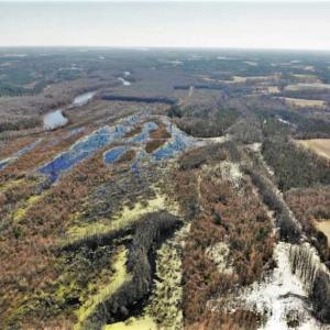 Photo of UNDER CONTRACT!!  660 Acres of Hunting and Timber Land For Sale in Pitt County NC!