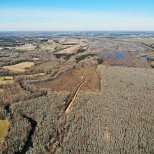 Photo of UNDER CONTRACT!!  660 Acres of Hunting and Timber Land For Sale in Pitt County NC!