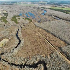 Photo of UNDER CONTRACT!!  660 Acres of Hunting and Timber Land For Sale in Pitt County NC!