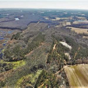Photo of UNDER CONTRACT!!  660 Acres of Hunting and Timber Land For Sale in Pitt County NC!