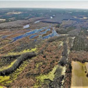 Photo of UNDER CONTRACT!!  660 Acres of Hunting and Timber Land For Sale in Pitt County NC!