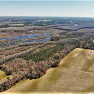 Photo of UNDER CONTRACT!!  660 Acres of Hunting and Timber Land For Sale in Pitt County NC!