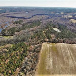 Photo of UNDER CONTRACT!!  660 Acres of Hunting and Timber Land For Sale in Pitt County NC!