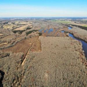 Photo of UNDER CONTRACT!!  660 Acres of Hunting and Timber Land For Sale in Pitt County NC!