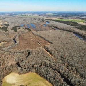 Photo of UNDER CONTRACT!!  660 Acres of Hunting and Timber Land For Sale in Pitt County NC!