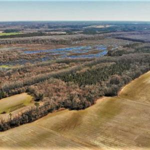 Photo of UNDER CONTRACT!!  660 Acres of Hunting and Timber Land For Sale in Pitt County NC!
