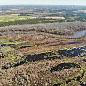 Photo of UNDER CONTRACT!!  660 Acres of Hunting and Timber Land For Sale in Pitt County NC!
