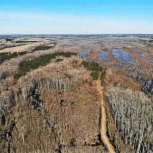 Photo of UNDER CONTRACT!!  660 Acres of Hunting and Timber Land For Sale in Pitt County NC!