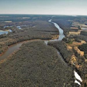 Photo of UNDER CONTRACT!!  660 Acres of Hunting and Timber Land For Sale in Pitt County NC!