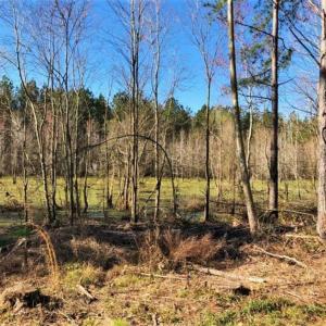 Photo of UNDER CONTRACT!!  660 Acres of Hunting and Timber Land For Sale in Pitt County NC!