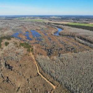 Photo of UNDER CONTRACT!!  660 Acres of Hunting and Timber Land For Sale in Pitt County NC!