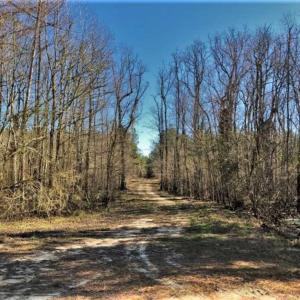 Photo of UNDER CONTRACT!!  660 Acres of Hunting and Timber Land For Sale in Pitt County NC!
