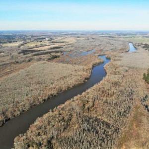 Photo of UNDER CONTRACT!!  660 Acres of Hunting and Timber Land For Sale in Pitt County NC!