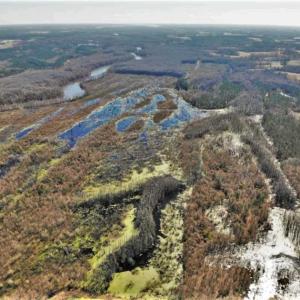 Photo of UNDER CONTRACT!!  660 Acres of Hunting and Timber Land For Sale in Pitt County NC!