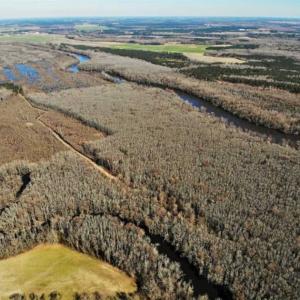 Photo of UNDER CONTRACT!!  660 Acres of Hunting and Timber Land For Sale in Pitt County NC!