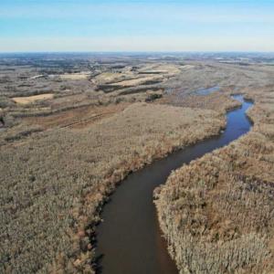 Photo of UNDER CONTRACT!!  660 Acres of Hunting and Timber Land For Sale in Pitt County NC!