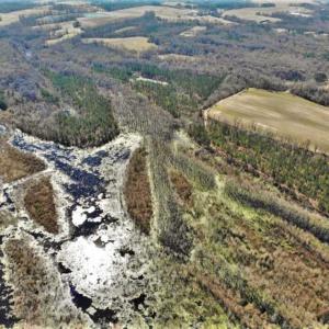 Photo of UNDER CONTRACT!!  660 Acres of Hunting and Timber Land For Sale in Pitt County NC!