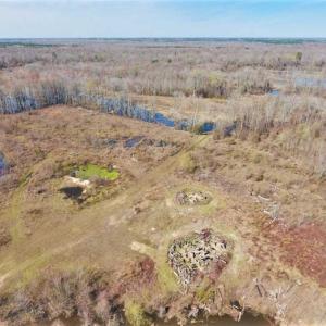 Photo of SOLD!!  172 Acres of Hunting Land For Sale in Craven County NC!