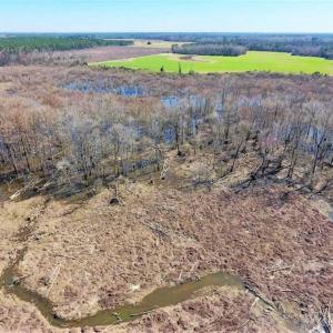 Photo of SOLD!!  172 Acres of Hunting Land For Sale in Craven County NC!