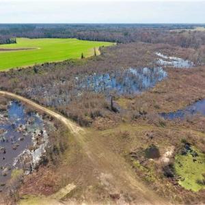 Photo of SOLD!!  172 Acres of Hunting Land For Sale in Craven County NC!