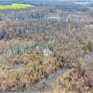 Photo of SOLD!!  172 Acres of Hunting Land For Sale in Craven County NC!