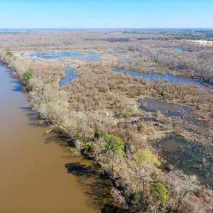Photo of SOLD!!  172 Acres of Hunting Land For Sale in Craven County NC!
