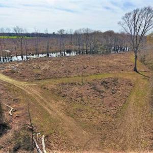 Photo of SOLD!!  172 Acres of Hunting Land For Sale in Craven County NC!